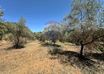 Giardino - Villa Contrada Niscima
 
snc, Caltanissetta - foto 64