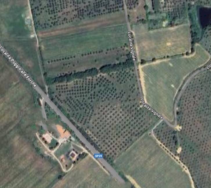 Foto 1 - Terreno agricolo Località Vignale, Piombino - foto 1