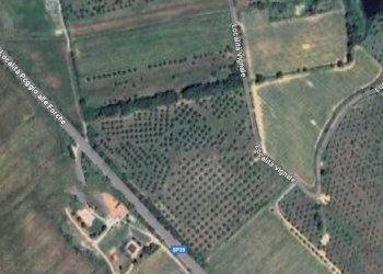 Foto 1 - Terreno agricolo Località Vignale, Piombino - foto 1