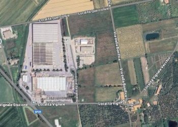 Foto 1 - Terreno agricolo Località Vignale, Piombino - foto 1