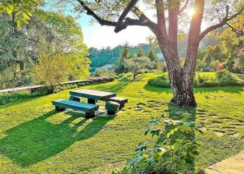 Giardino - Casa indipendente via borgo canale, Bergamo - foto 2
