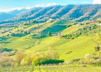 Vista panoramica - Villa via an rocco, Cenate Sotto - photo 48