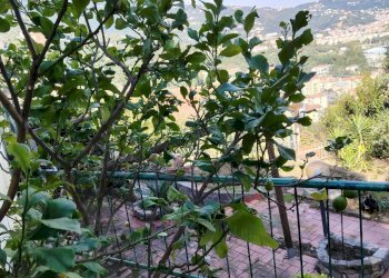 Foto 66 - Casa semi indipendente Via della Lizza
 
35, La Spezia - foto 66