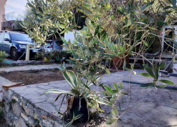 Foto 73 - Casa semi indipendente Via della Lizza
 
35, La Spezia - foto 73