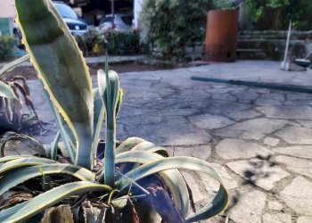 Foto 75 - Casa semi indipendente Via della Lizza
 
35, La Spezia - foto 75