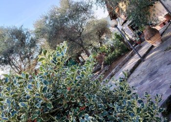 Foto 76 - Casa semi indipendente Via della Lizza
 
35, La Spezia - foto 76