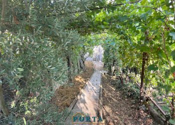 Foto 40 - Casa indipendente Via Verdino
 
105, Magliano Alpi - foto 40