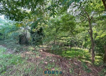 Foto 21 - Rustico Strada Orià
 
62, Carrù - foto 21