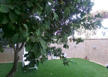 Giardino - Trilocale viale delle Nereidi, 2, Anzio - foto 9