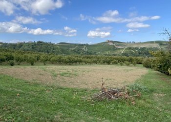 Magazzino Montelupo Albese - foto 12