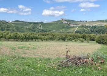 Magazzino Montelupo Albese - foto 13