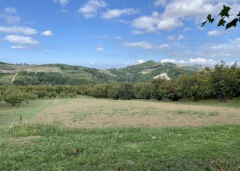 Magazzino Montelupo Albese - foto 14