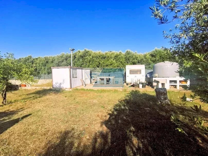 Agricultural land Noto - photo 3