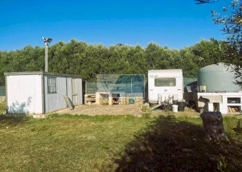 Terreno agricolo Noto - foto 4
