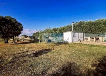 Terreno agricolo Noto - foto 5