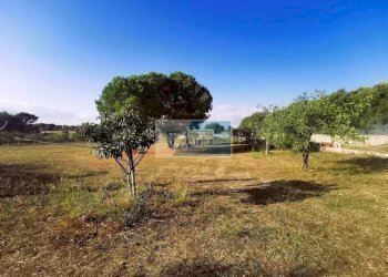 Terreno agricolo Noto - foto 6
