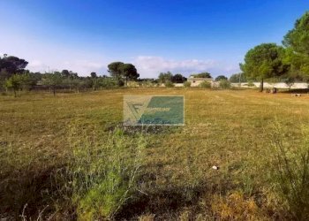 Terreno agricolo Noto - foto 9