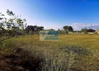 Terreno agricolo Noto - foto 11