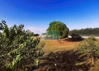 Terreno agricolo Noto - foto 12