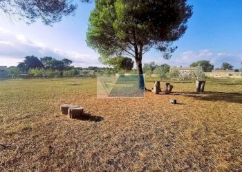Terreno agricolo Noto - foto 13
