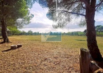 Terreno agricolo Noto - foto 14