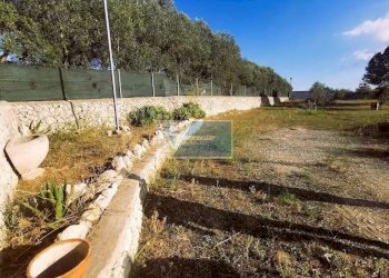 Terreno agricolo Noto - foto 15