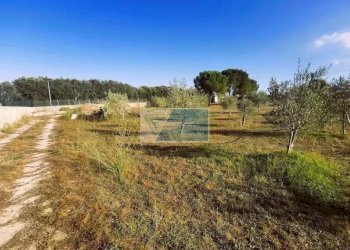 Terreno agricolo Noto - foto 18