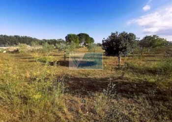 Terreno agricolo Noto - foto 19