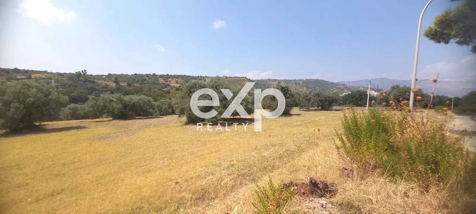 Terreno agricolo Contrada Stanò, Camini - foto 2