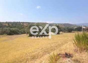 Terreno agricolo Contrada Stanò, Camini - foto 2