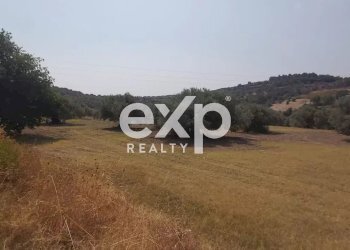 Terreno agricolo Contrada Stanò, Camini - foto 3