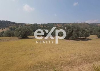 Terreno agricolo Contrada Stanò, Camini - foto 5