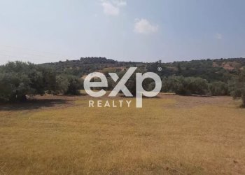 Terreno agricolo Contrada Stanò, Camini - foto 7