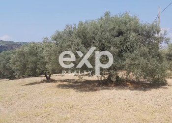 Terreno agricolo Contrada Stanò, Camini - foto 8