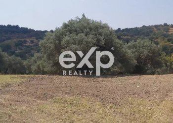 Terreno agricolo Contrada Stanò, Camini - foto 9