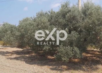 Terreno agricolo Contrada Stanò, Camini - foto 12