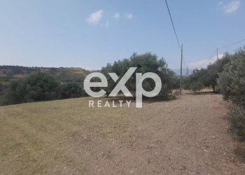 Terreno agricolo Contrada Stanò, Camini - foto 13