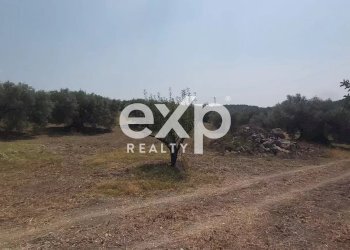 Terreno agricolo Contrada Stanò, Camini - foto 14