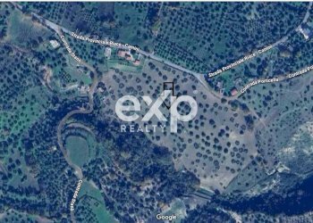 Terreno agricolo Contrada Stanò, Camini - foto 17