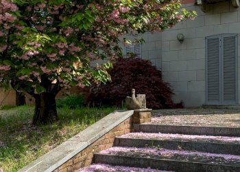 Laboratorio Palazzo Pignano - foto 12