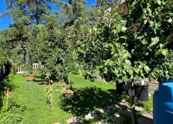 Foto 50 - Villa a Schiera Via delle begonie, Ascoli Piceno - foto 50