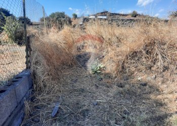 Vista delle montagne - Terreno agricolo contrada decima
 
snc, Belpasso - foto 8