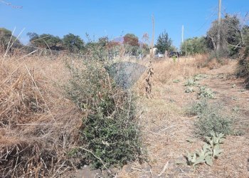 Non correlato - Terreno agricolo contrada decima
 
snc, Belpasso - foto 13