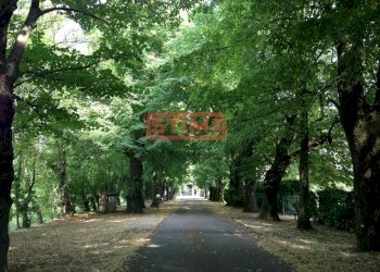 Foto 7 - Ufficio Preganziol - foto 7