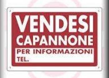 Altro - Capannone via Lago di Carezza, Carpi - foto 1