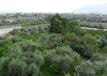 Vista - Four-room apartment corso Italia, Carini - photo 4