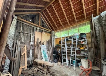 Magazzino - Villa Genova (zona Pegli) - foto 18