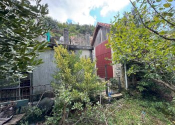 Facciata - Villa via Carpenara, Genova - foto 5