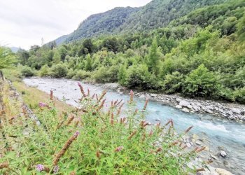 Zona - Villa Regione Pignere, Ceres - photo 50