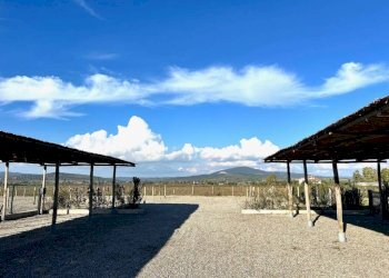 Zona - Trilocale strada Origlio, Capalbio - foto 18